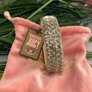 NWT Beautiful Chain Juicy Couture Bangle